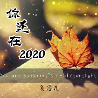 葛思凡《你还在2020》MP3音乐歌词下载 你还在2020专辑