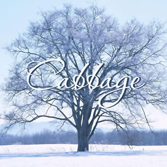 Cabbage《樱花》MP3音乐歌词下载 Cabbage专辑