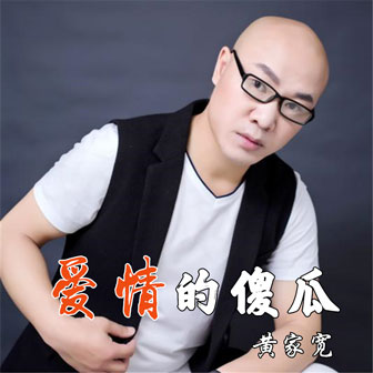 黄家宽《爱情的傻瓜》MP3音乐歌词下载 爱情的傻瓜专辑