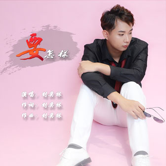 刘奕林《要怎样》MP3音乐歌词下载 要怎样专辑