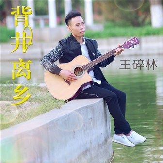 王碎林《谢谢你还爱着我》MP3音乐歌词下载 背井离乡专辑