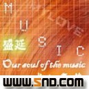 盛延《只希望你放开手》MP3音乐歌词下载 盛似年华专辑