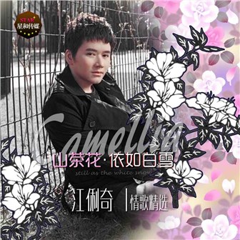 江俐奇《山茶花 依如白雪》MP3音乐歌词下载 山茶花 依如白雪专辑