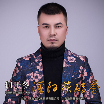 何于冬《泾阳茯砖茶》MP3音乐歌词下载 泾阳茯砖茶专辑