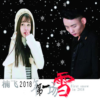 楠飞《2018年的第一场雪》MP3音乐歌词下载 2018年的第一场雪专辑