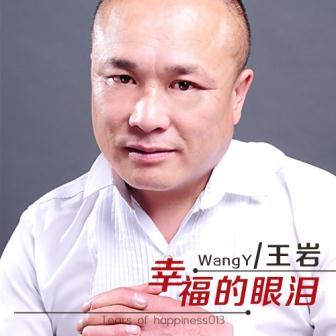 王岩《拥抱》MP3音乐歌词下载 幸福的眼泪专辑