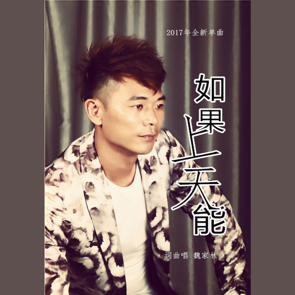 魏家林《如果上天能》MP3音乐歌词下载 如果上天能专辑