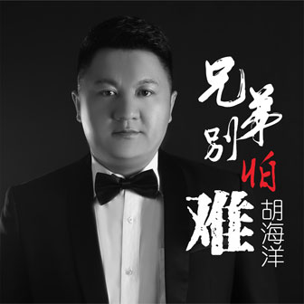 胡海洋《兄弟别怕难》MP3音乐歌词下载 兄弟别怕难专辑