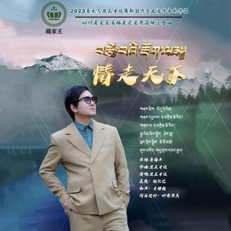 旦正才让《情走天下》MP3音乐歌词下载 情走天下专辑