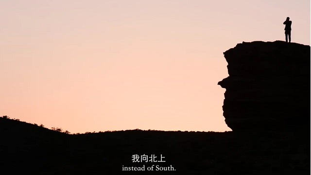 “还乡版”预告