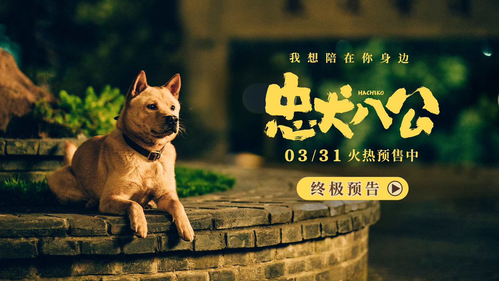 忠犬八公 终极预告