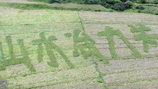 《寻鹿香巴拉》预告：演员姚橹、导演陈同明共同执导